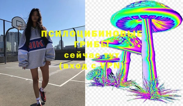 хмурый Инта