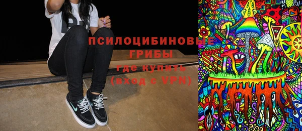 хмурый Инта