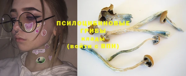 ALPHA-PVP Инсар