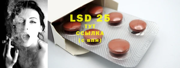 хмурый Инта