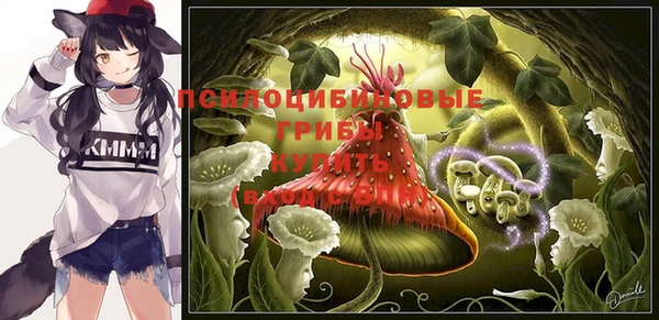 дурь Иннополис