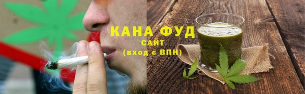 хмурый Инта