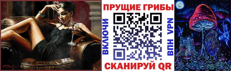 Галлюциногенные грибы мицелий  цена   Карачаевск 