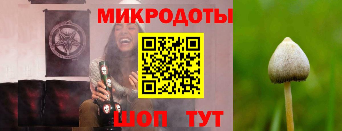 Псилоцибиновые грибы прущие грибы Карачаевск