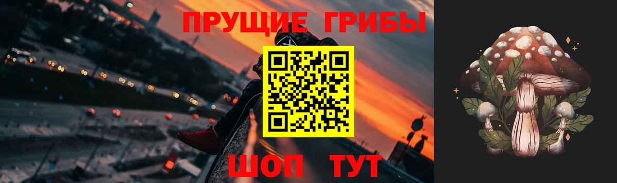 Карачаевск  Галлюциногенные грибы мухоморы  Вход с VPN 